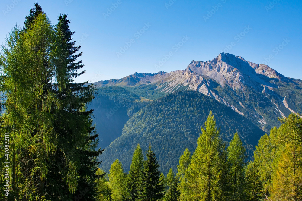 Monte Bivera viewed from the slopes of Monte Morgenleit near Sauris di Sopra, Udine Province, Friuli-Venezia Giulia, north east Italy. Late September

