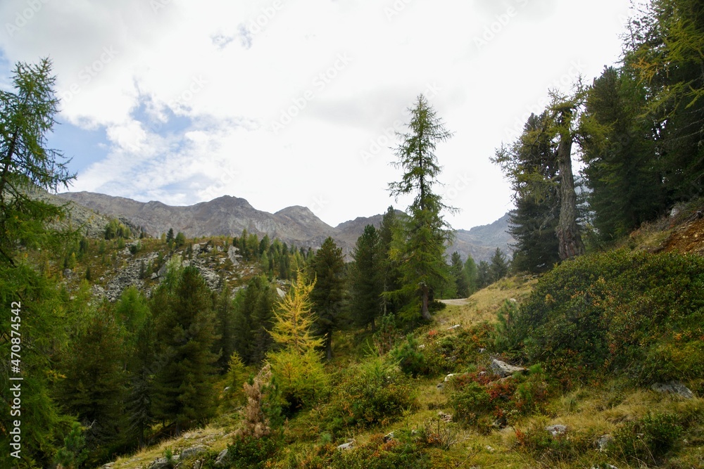 Berglandschaft