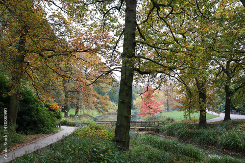 autumn in the park © Ryan