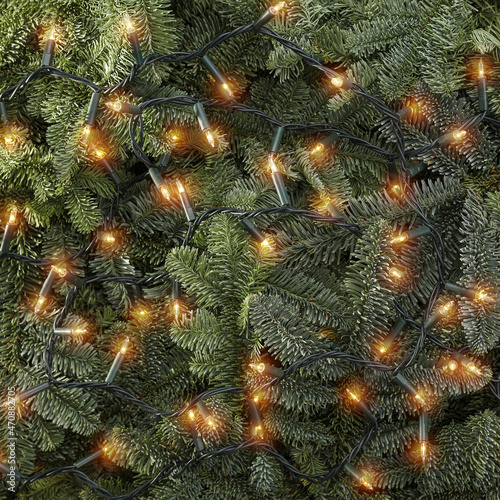 Christmas tree background and free space for your decoration. 