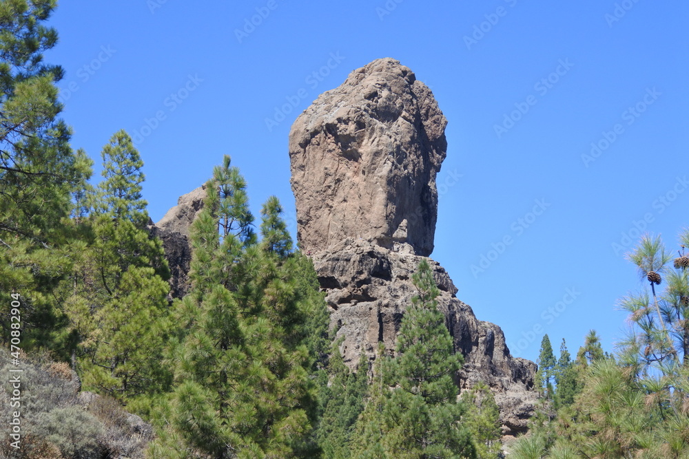 Der Roque Nublo im Wald auf Gran Canaria	