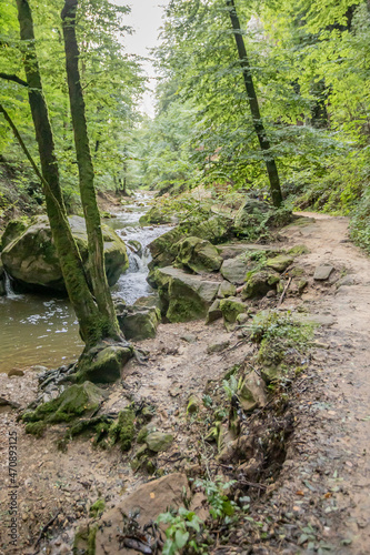 Path along the black Ernz river with crystal clear water flowing between huge moss covered stones surrounded by trees and wild vegetation, fading into the background, Mullerthal Trail, Luxembourg