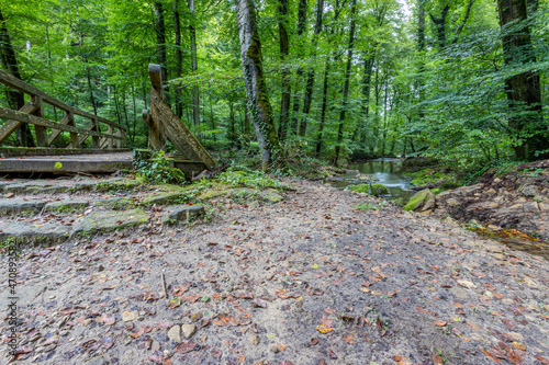 Black Ernz river bank, old wooden bridge, abundant trees with green foliage and wild vegetation in the background, seen from a lower perspective, summer day on Mullerthal Trail, Luxembourg photo