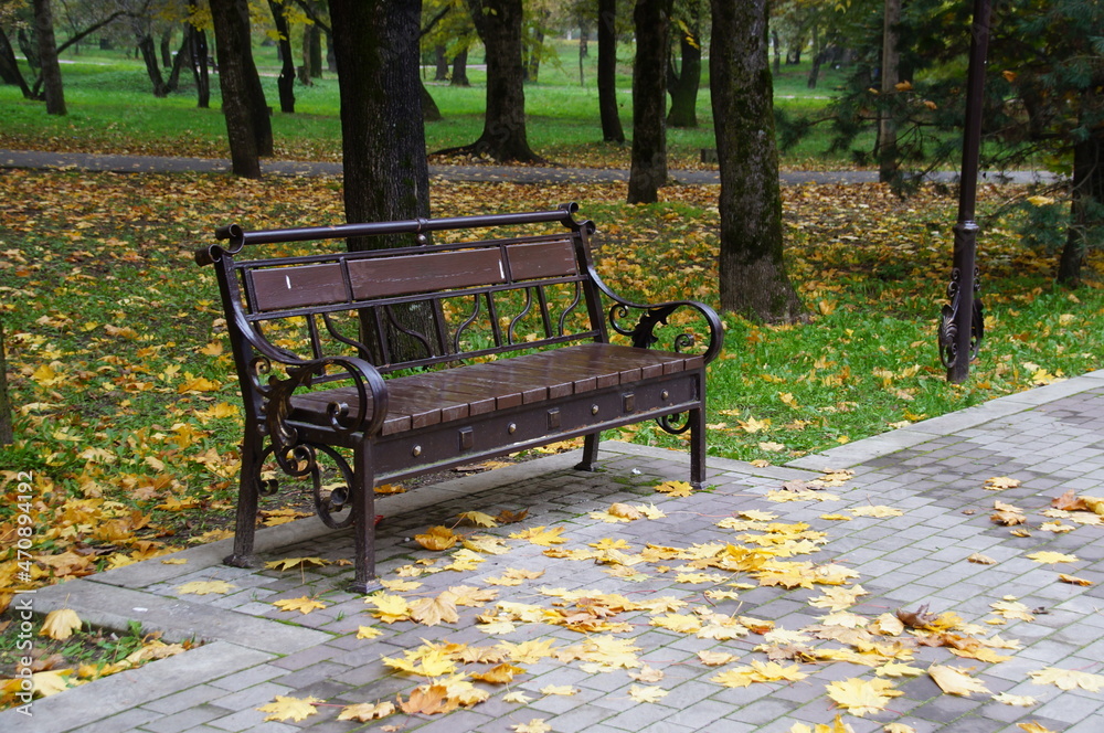 A bench in the park on an autumn evening. Yellow foliage on trees in autumn. Leaves near a bench in the park