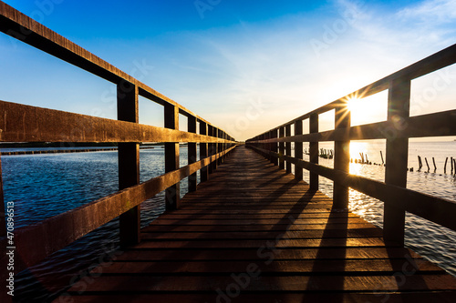 The forest mangrove with wooden walkway bridge,Red bridge and bamboo line