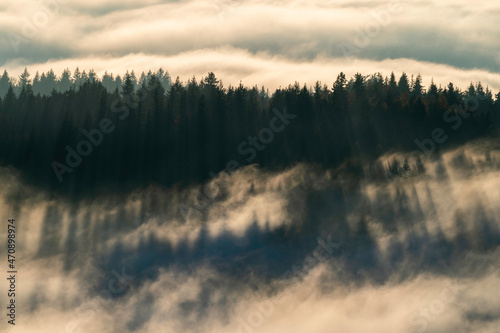 Schwarzwald im Nebel bei Inversionswetter © Donnerbold