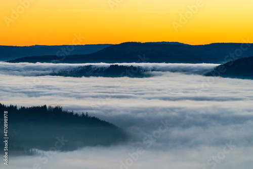 Nebelfluss im Nordschwarzwald