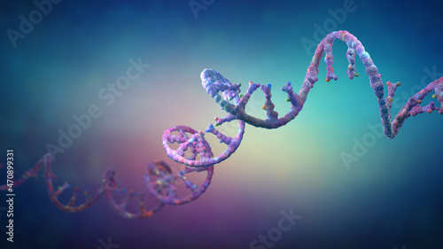Ribonucleic acid strands consisting of nucleotides - 3d illustration photo