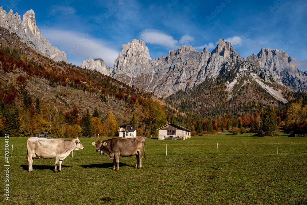 Colori autunnali in Trentino