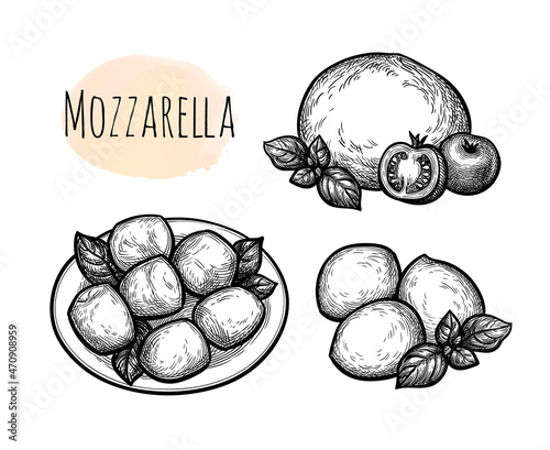 Ink sketches of mozzarella cheese.
