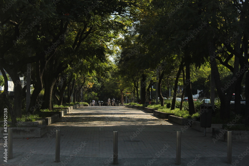 Camellón turístico de Chapultepec