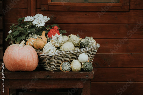 Jesień - dekoracja ogrodowa - dynie ozdobne w koszu - jesienna dekoracja vintage - halloween, październik, jesień, listopad