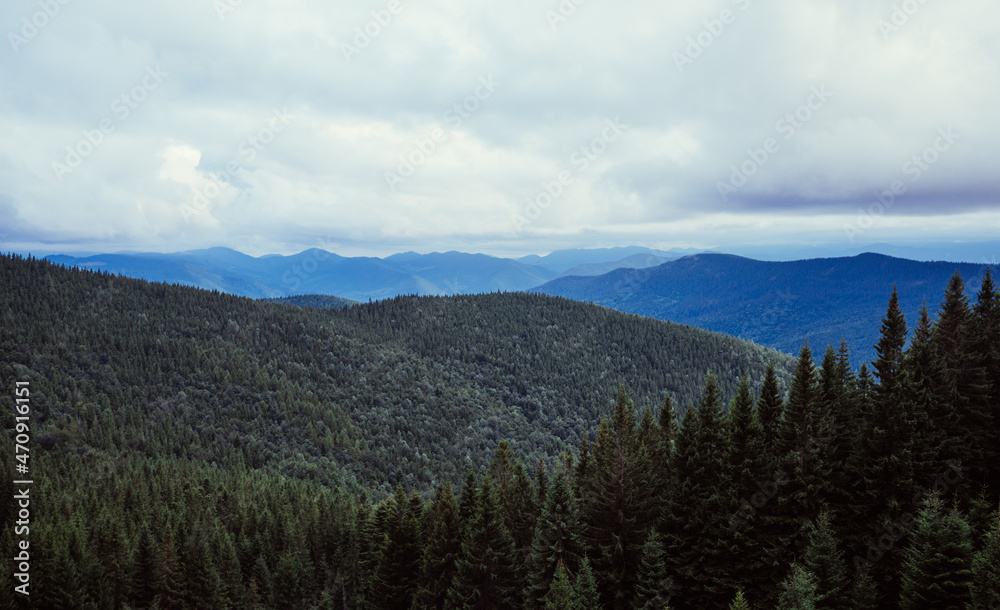 Beautiful mountain landscape with coniferous forest in cloudy weather.