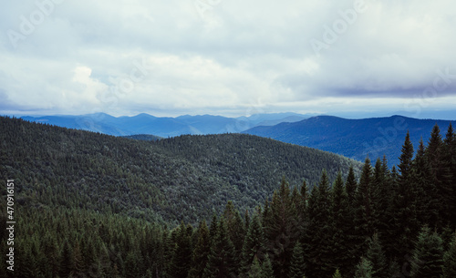 Beautiful mountain landscape with coniferous forest in cloudy weather.