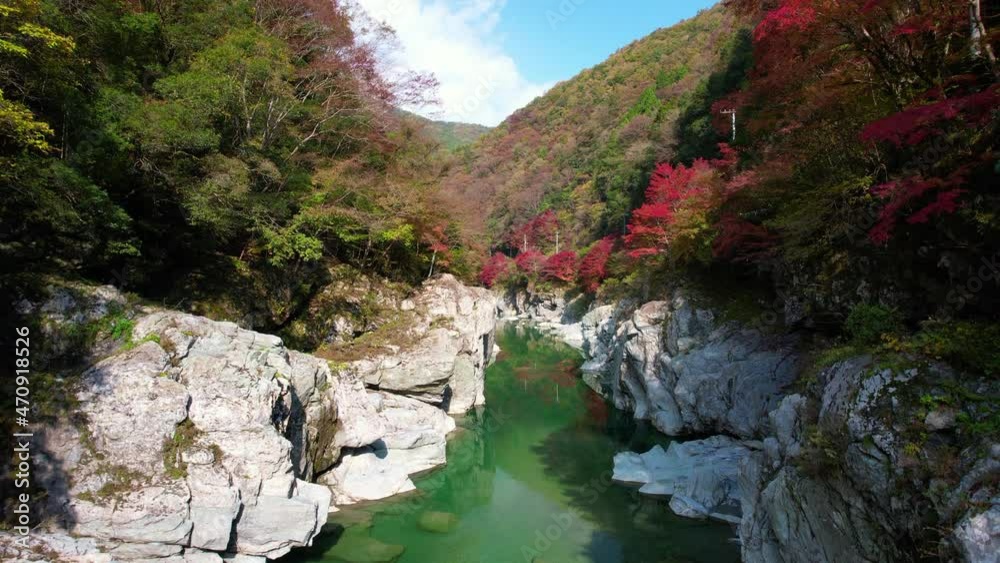 美しい紅葉と清流のイメージ映像