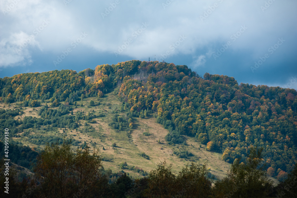 Autumn forest in carpathian mountains