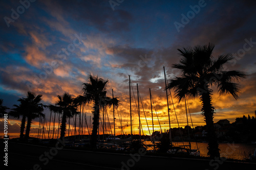 Beautiful sunset under the silhouettes of palms in Croatia
