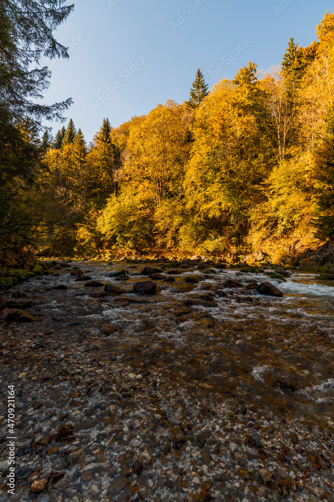 Panorama and details of the Slizza ravine in Autumn. Tarvisio.