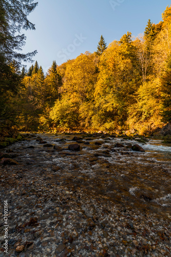 Panorama and details of the Slizza ravine in Autumn. Tarvisio.
