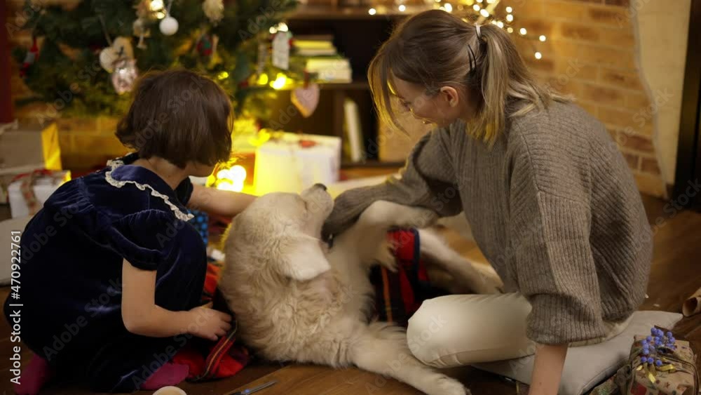 Mother and daughter stroking and playing with golden retriever on the floor Mother and daughter stroking and playing with golden retriever on the floor