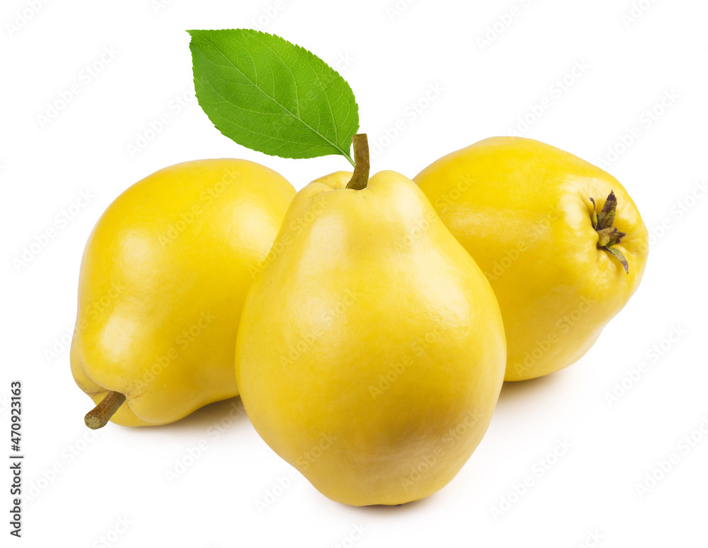 Three ripe quince fruits isolated on white background. Fresh fruits. Three ripe quince fruits isolated on white background. Fresh fruits.