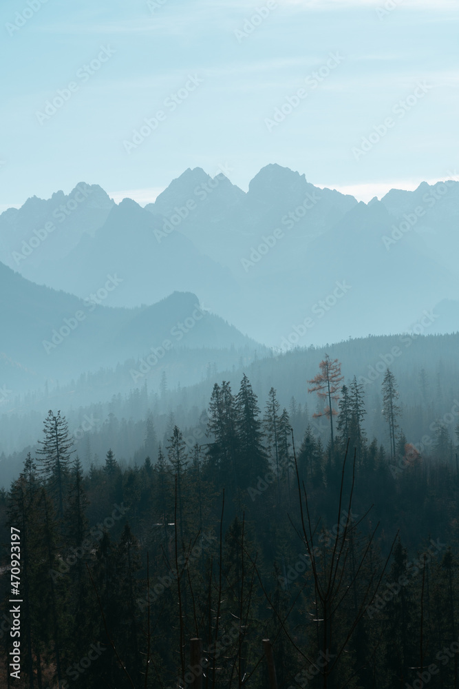 Silhouette of the tatra mountains national park in poland and slovakia .Layers of mountains and pine forest with fog and sun, pastel tones.