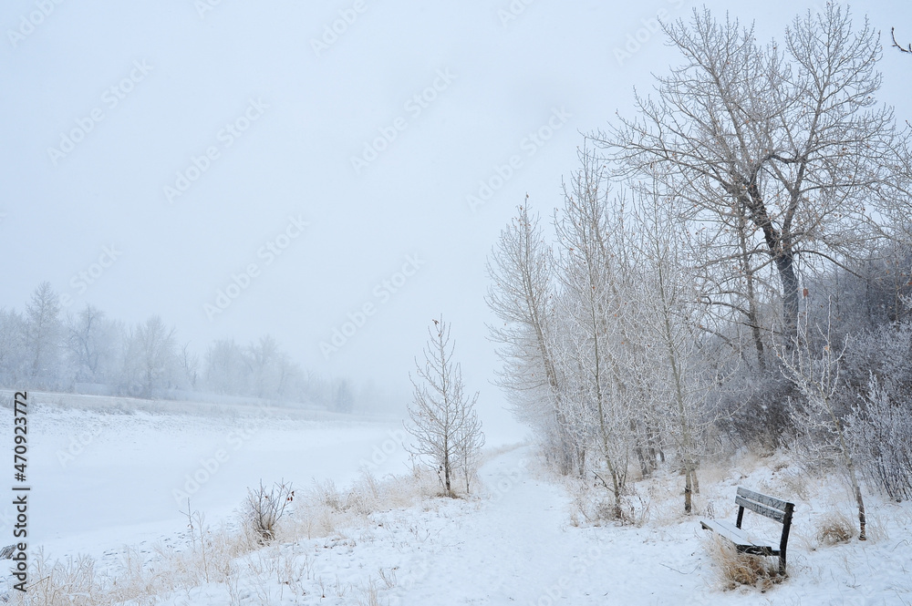 Snow covered bench among the cold winter landscape with trees Snow covered bench among the cold winter landscape with trees