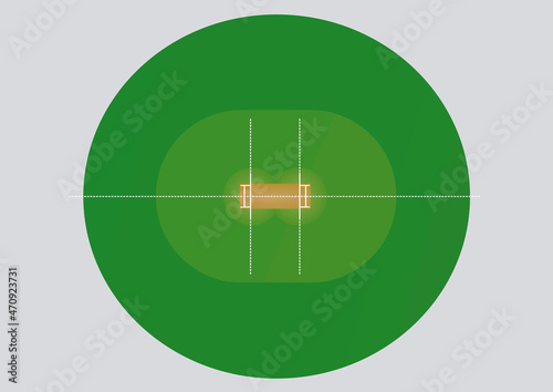 Cricket field isolated. vector illustration