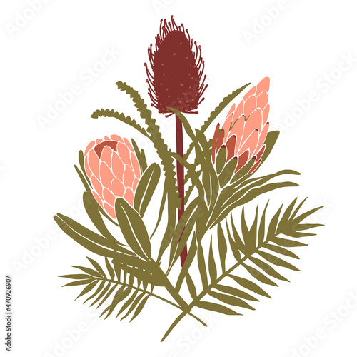 Tropical exotic protea and banksia flower isolated on white background. Hand drawn vector bouquet. photo