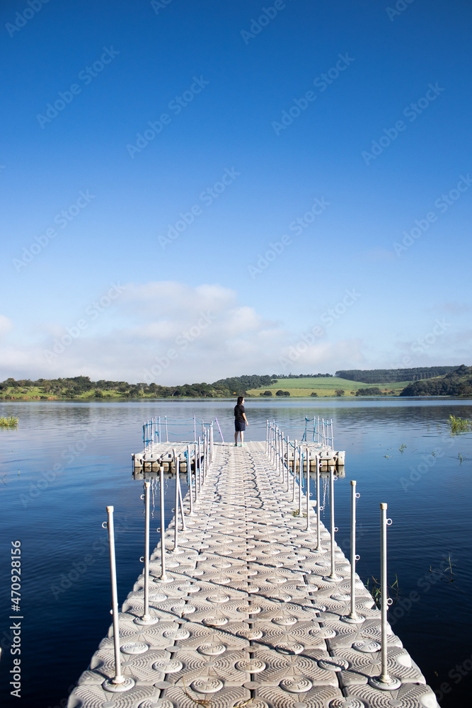 Obraz premium pier on the lake