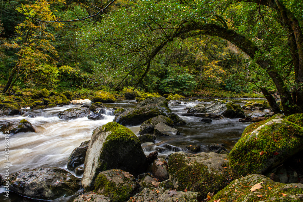 Obraz premium River Braan at the Hermitage in Scotland, UK
