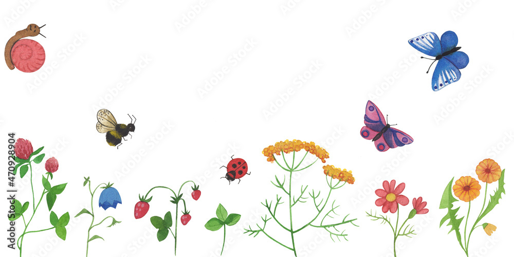 Beautiful floral pattern with watercolor hand drawn field wild flowers, butterfly,
snail, ladybug and bee. Plants for invitations design, cards, textiles, decor.