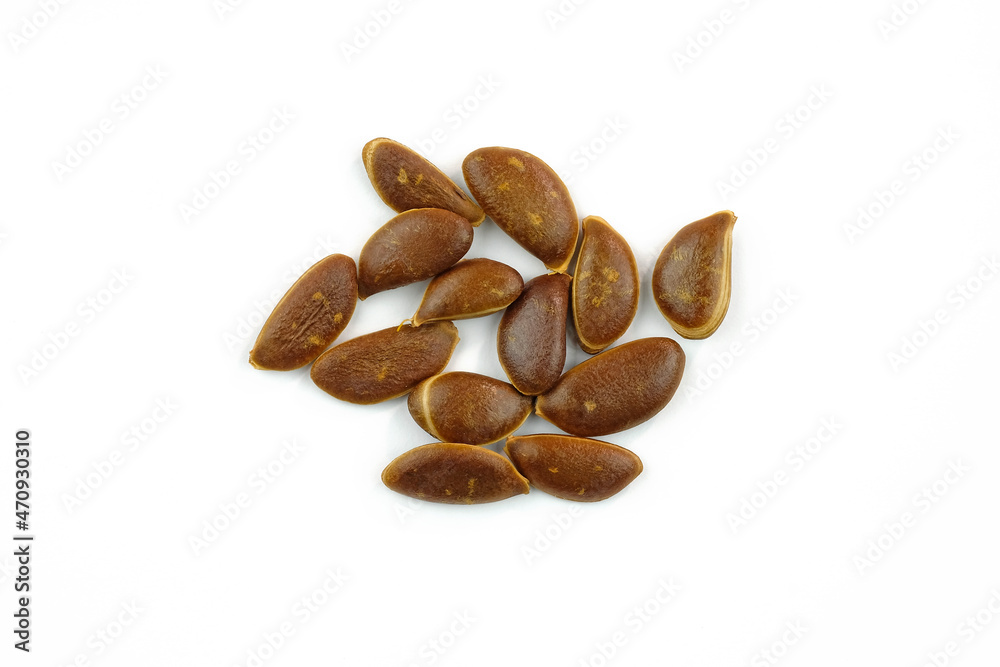 Obraz premium Persimmon brown kernel on a white background top view. Brown dry raw large pits from the fruit. Orange berry seeds close-up.