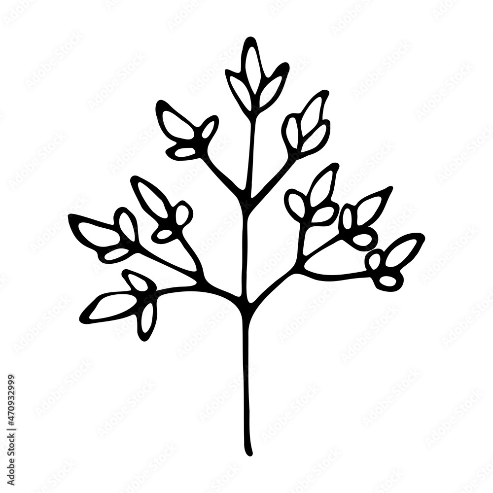 Hand drawn floral element for greeting cards, wedding invitations, poster design etc. Vector illustration on isolated background.