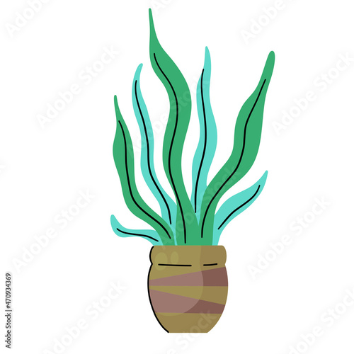 Potted plant. Homemade Green leaves of houseplant. Brown pot and House decoration. Gardening and botany.