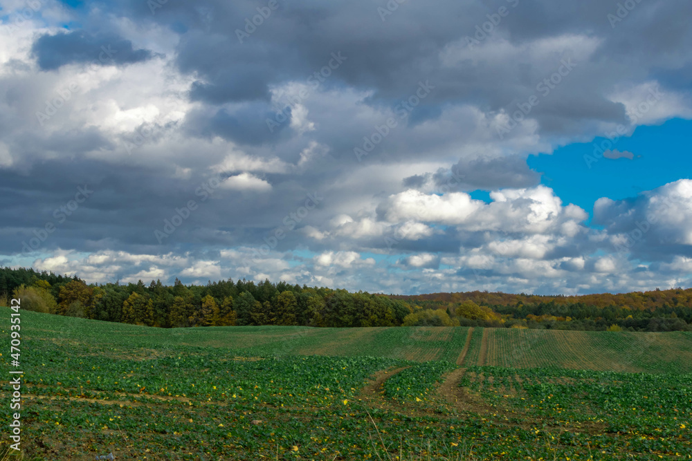 Fototapeta premium landscape with clouds
