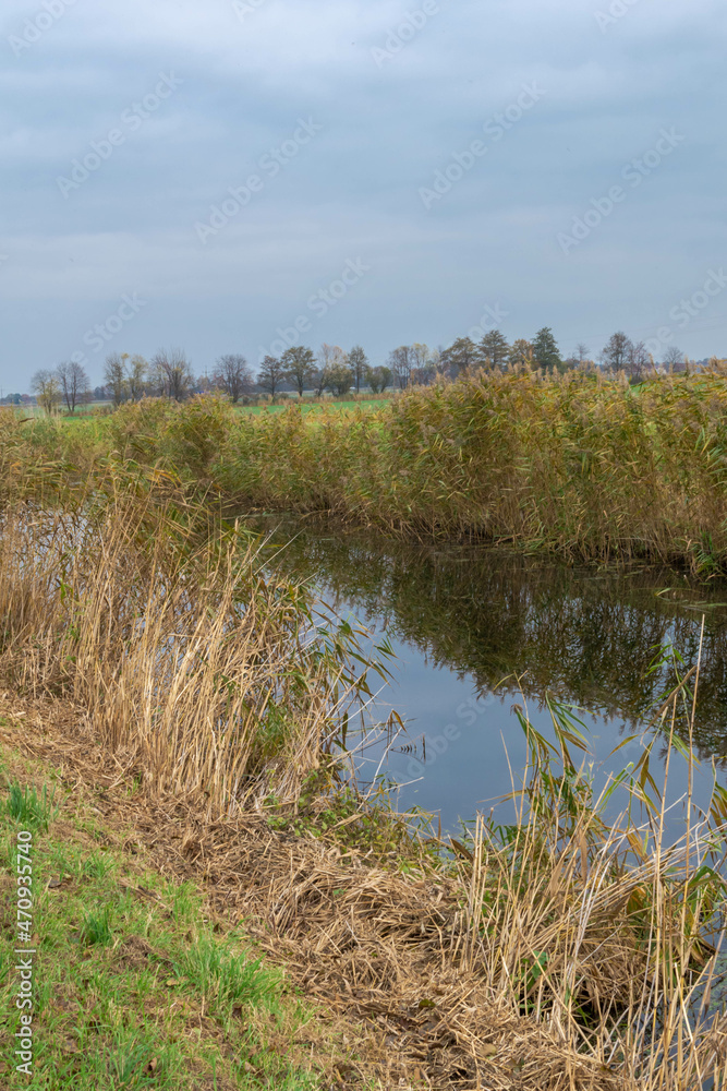 canal in the Żuławy