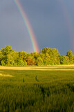 Rainbow between the fields