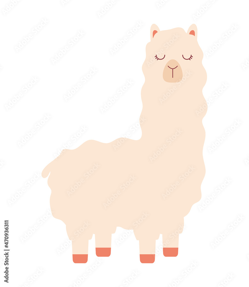 Fototapeta premium animal alpaca design