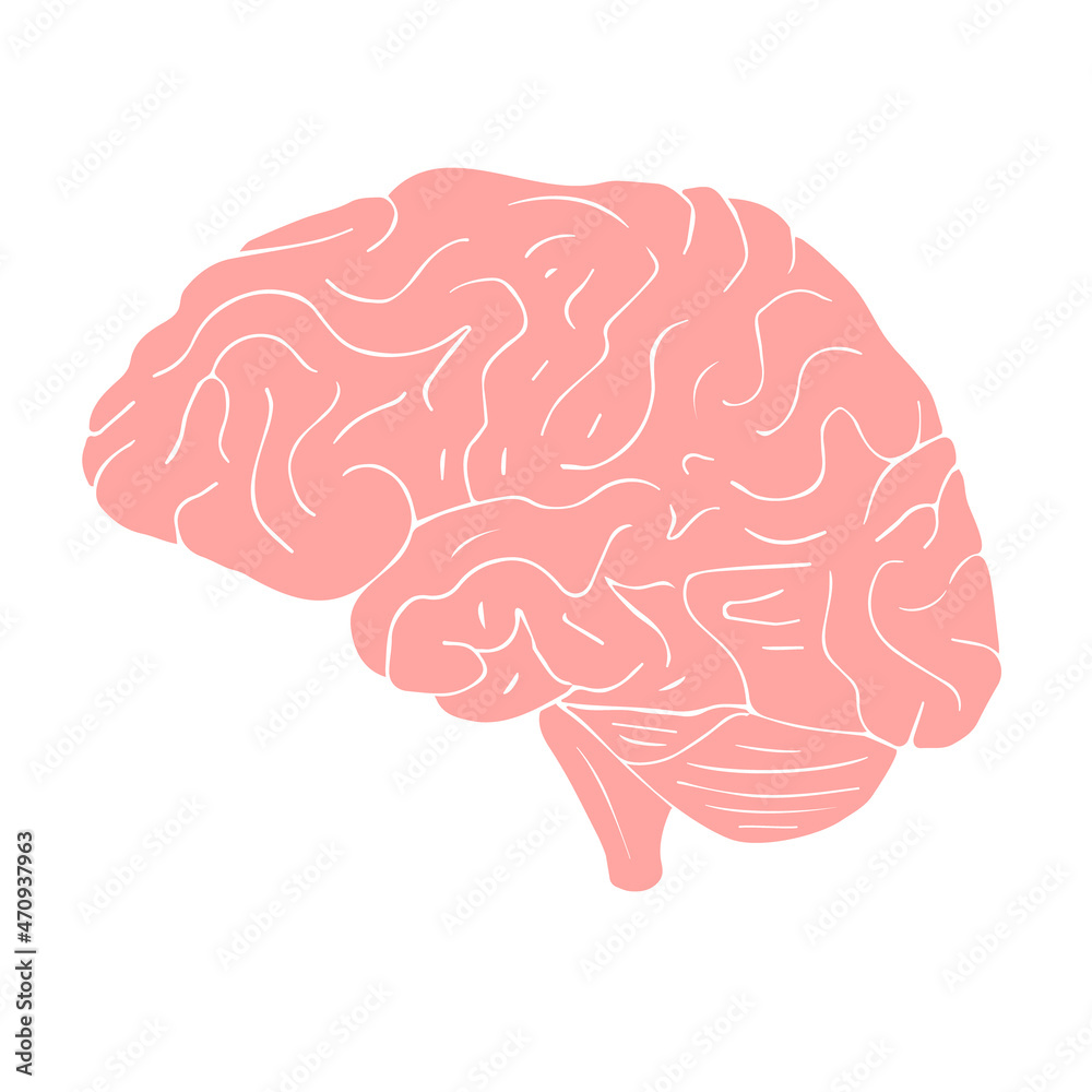 Vector hand drawn doodle sketch pink brain isolated on white background Vector hand drawn doodle sketch pink brain isolated on white background