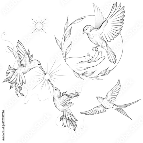 Set of of birds and flowers, line drawings, ink drawing, hand drawn illustration, photo