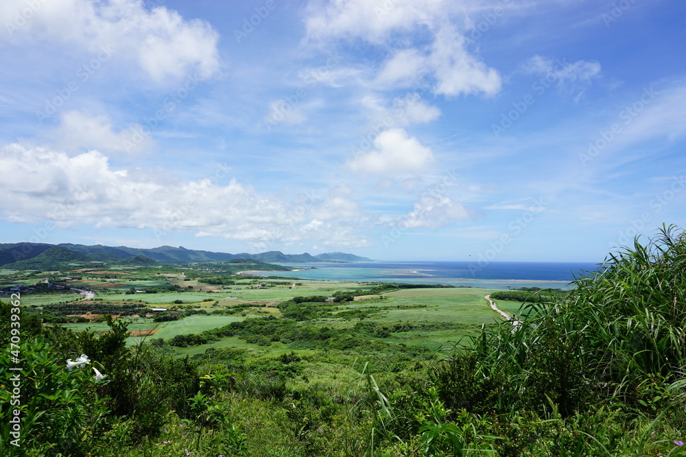 緑のパワー、グリーンエネルギー。沖縄風景、山頂からの景色