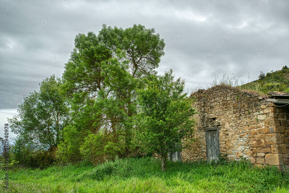 Obraz premium Growing and dwindling