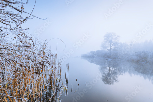 Magnificent scene of a morning foggy lake with rime-covered trees, reeds, and bushes on a banks.