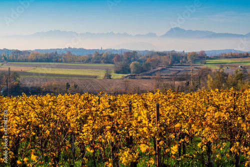 Autumn among the vineyards and the ancient village of Villafredda. Friuli.