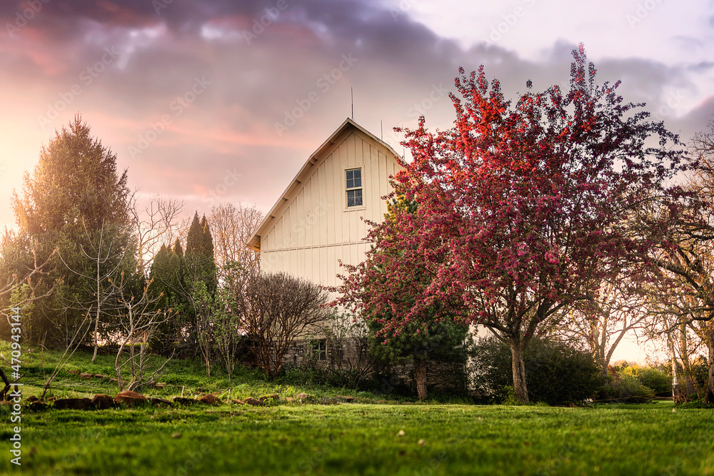 Outdoor garden wedding farm flower venue Outdoor garden wedding farm flower venue
