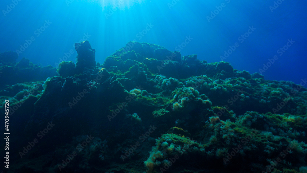 Fototapeta premium Mindfulness in an underwater paradise