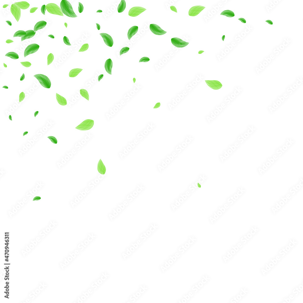 Green Leaves Background White Vector. Vegetation Aroma Frame. Abstract Texture. Light Green Banner Design. Sheet Mint. Green Leaves Background White Vector. Vegetation Aroma Frame. Abstract Texture. Light Green Banner Design. Sheet Mint.