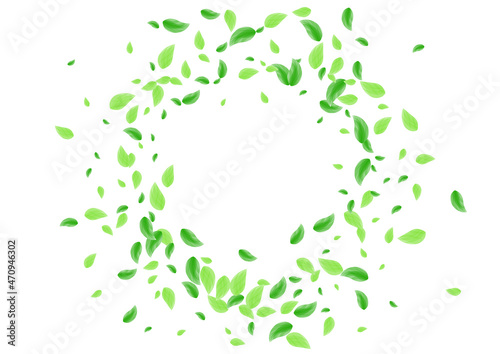 Green Sheet Background White Vector. Leaf Cover Design. Rustic Frame. Light Green Floral Texture. Foliage Decoration.