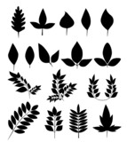 Illustration of black colored leaf silhouette shapes on white background.